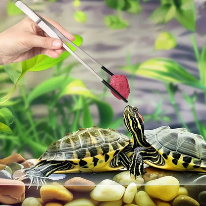 2 Stück gebogene Spitzpinzette für Bastelarbeiten, gerade und gebogene Edelstahlpinzette, Futterpinzette für Reptilien, Eidechsen, Spinnen