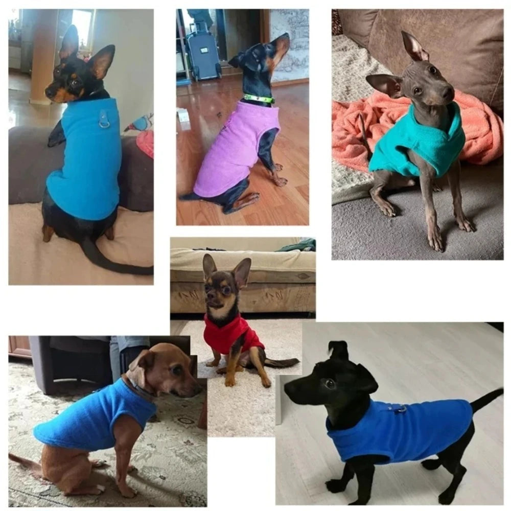 Pullover in pile cani e gatti