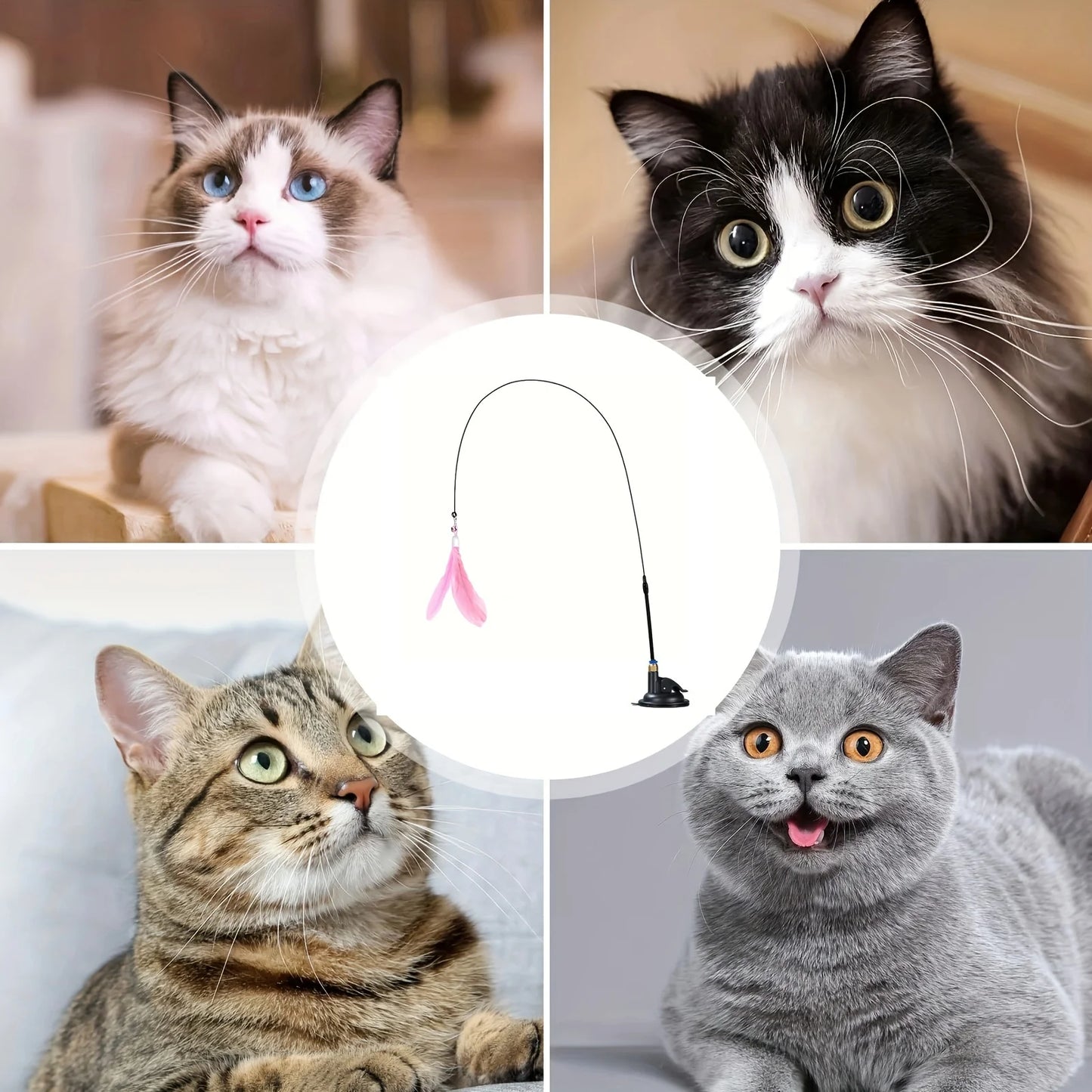 Katzen-Teaser-Spielzeug - Interaktiver Stab mit Glocke und Federn - Langer Saugnapf-Stab für aufregende Spielzeugabenteuer - Ultimatives Katzenspielzeug