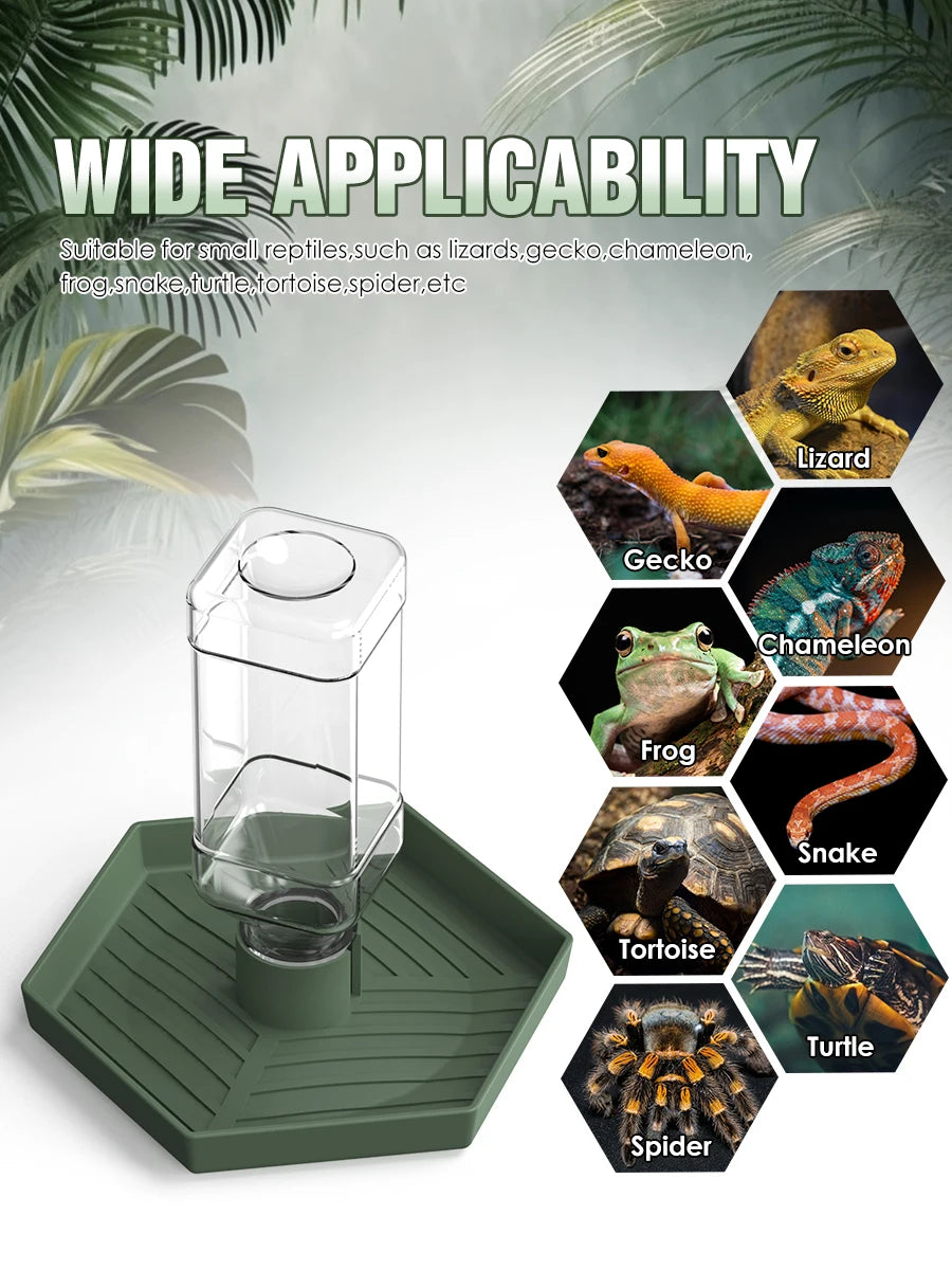Wasserspender für Reptilien, Wassernapf, Futterzubehör, geeignet für Eidechsen, Schildkröten, Geckos, Terrarien-Zubehör