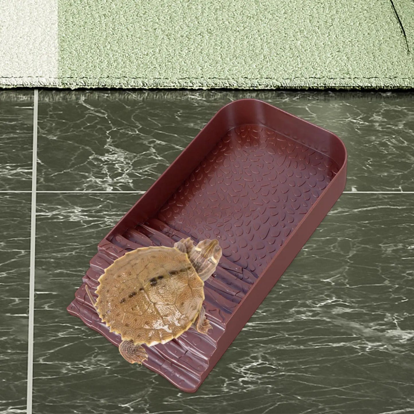 Reptilienschüssel mit Rampe Schildkrötenfutternapf Bräunungsplattform Amphibien Wassernäpfe für Schildkröten Bartagamen