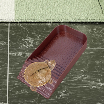 Reptilienschüssel mit Rampe Schildkrötenfutternapf Bräunungsplattform Amphibien Wassernäpfe für Schildkröten Bartagamen