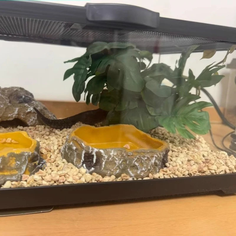 Professionelles Glas-Terrarium für Reptilien, geeignet für Chamäleons, Echsen und Schlangen, ideal für Hornfrösche und Wasserschildkröten, mit transparenter Belüftung.