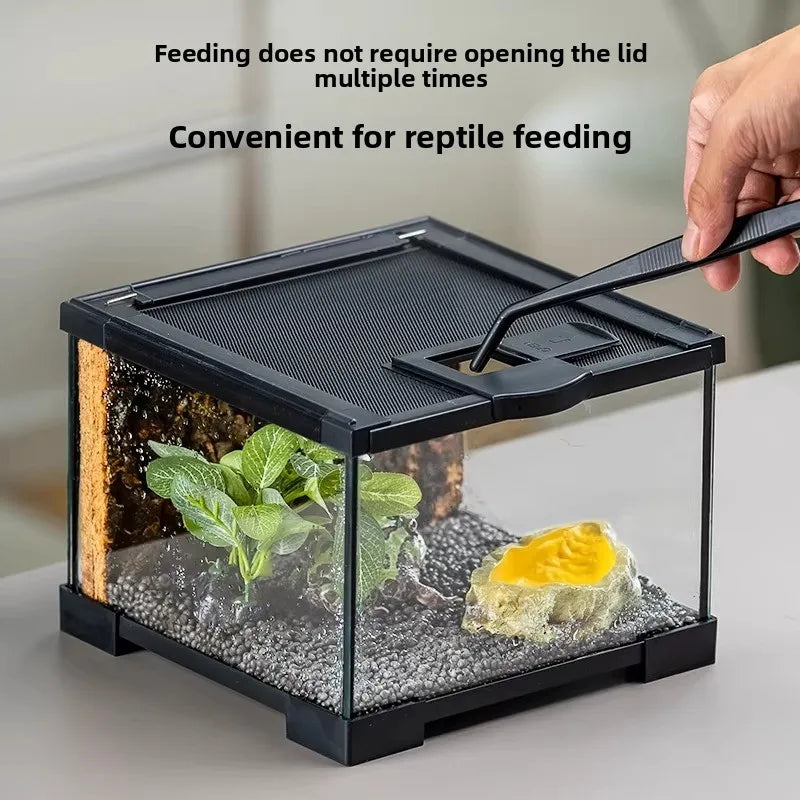 Professionelles Glas-Terrarium für Reptilien, geeignet für Chamäleons, Echsen und Schlangen, ideal für Hornfrösche und Wasserschildkröten, mit transparenter Belüftung.