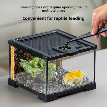 Professionelles Glas-Terrarium für Reptilien, geeignet für Chamäleons, Echsen und Schlangen, ideal für Hornfrösche und Wasserschildkröten, mit transparenter Belüftung.