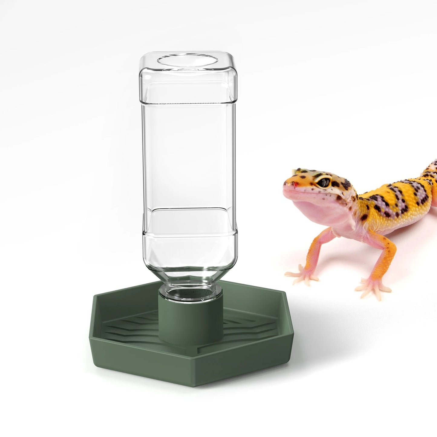 Wasserspender für Reptilien, Wassernapf, Futterzubehör, geeignet für Eidechsen, Schildkröten, Geckos, Terrarien-Zubehör