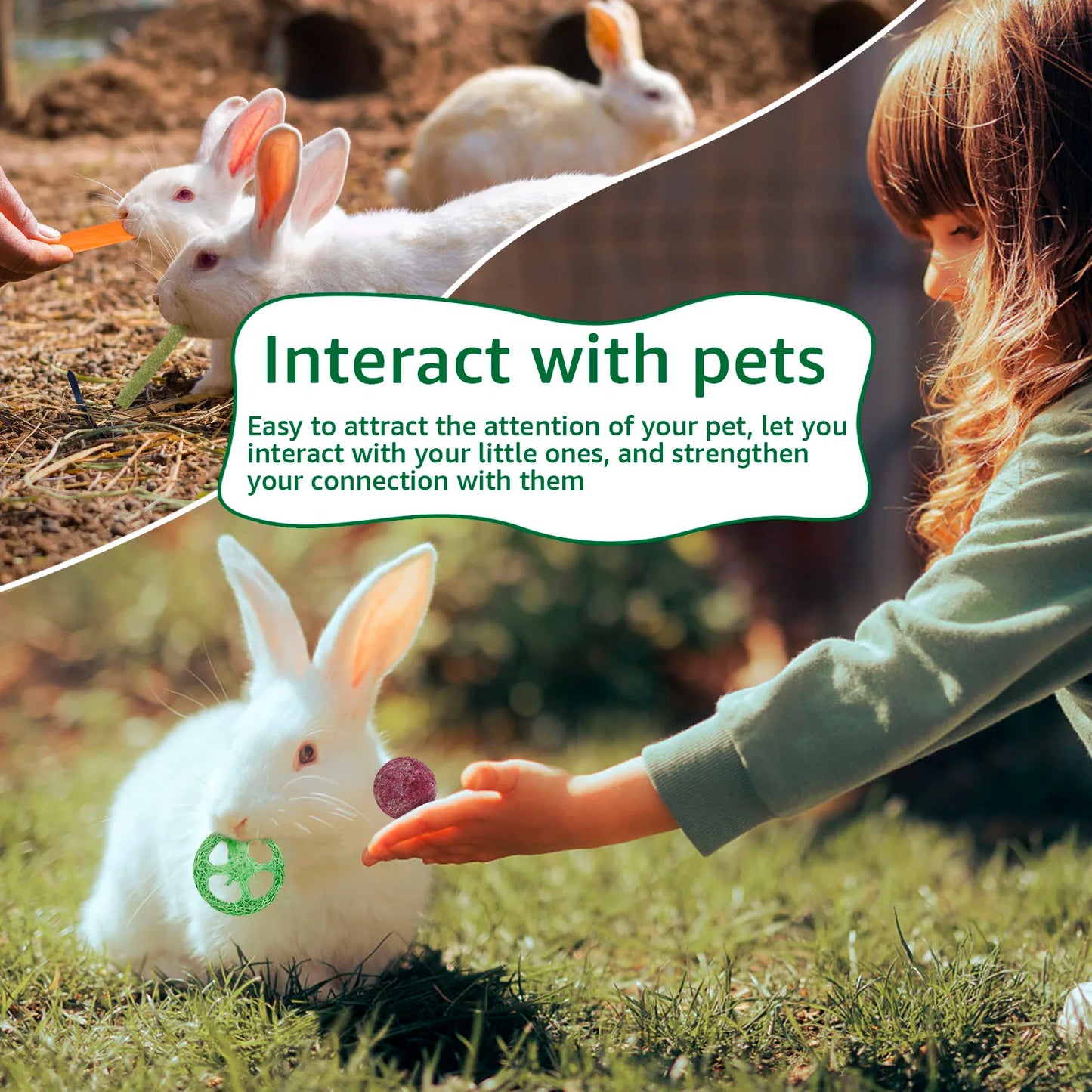 23 Pz Conigli Giocattoli Da Masticare Legno Piccolo Animale Domestico Noia Breaker Gabbia Accessori Pet Dente Rettifica Snack Cavia Drago Gatto Giocattolo Divertimento