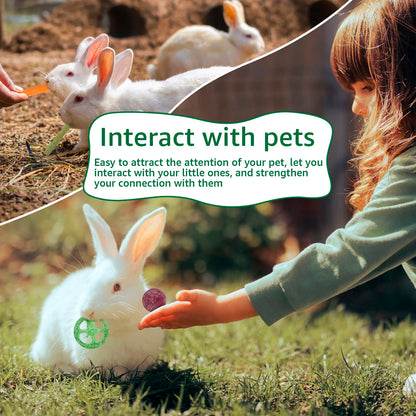 23 Pz Conigli Giocattoli Da Masticare Legno Piccolo Animale Domestico Noia Breaker Gabbia Accessori Pet Dente Rettifica Snack Cavia Drago Gatto Giocattolo Divertimento