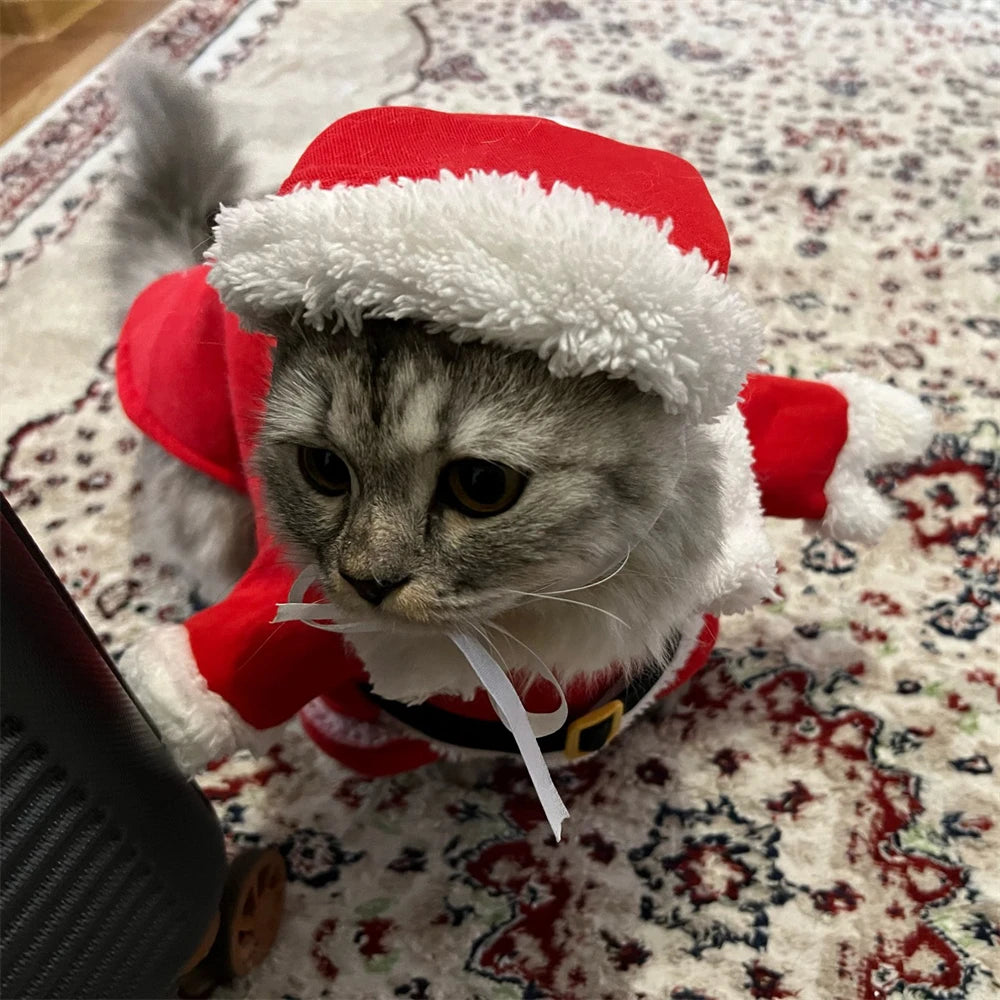 Costume Babbo Natale per gatti e cuccioli