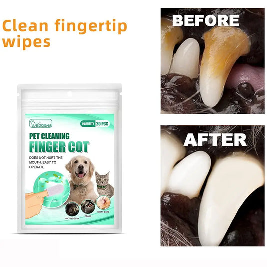 20 Pz per igiene dentale animali