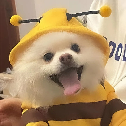 Felpa con cappuccio costume ape per cani