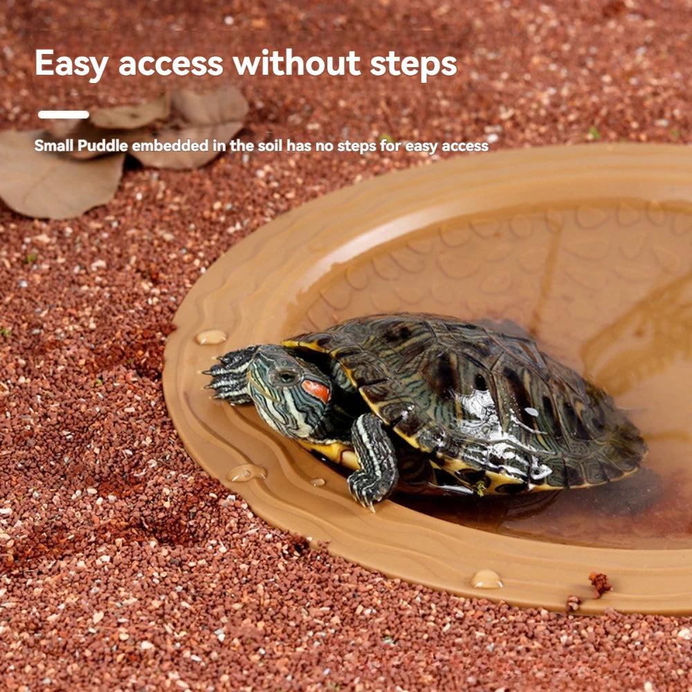 Pond con feeder per tartarughe d'acqua