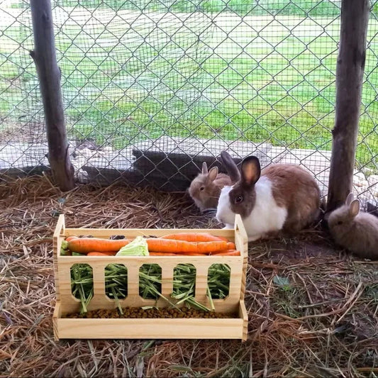 Mangiatoia per conigli