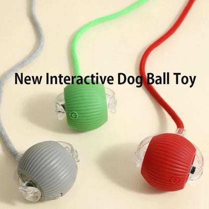 Neues interaktives Hundespielzeug, wiederaufladbarer, selbstrollender Hundeball, intelligentes, interaktives Welpenspielzeug, intelligentes Hundeballspielzeug