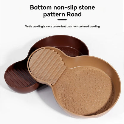 Pond con feeder per tartarughe d'acqua