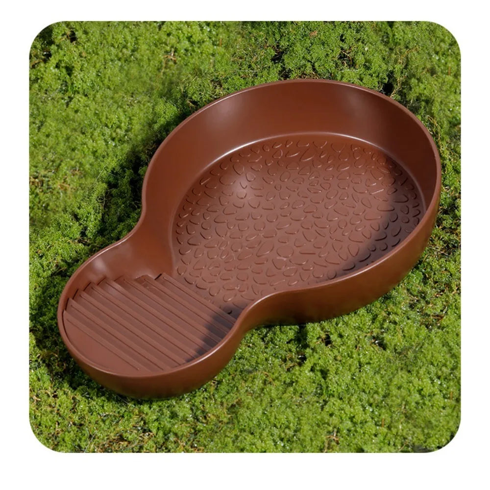 Pond con feeder per tartarughe d'acqua
