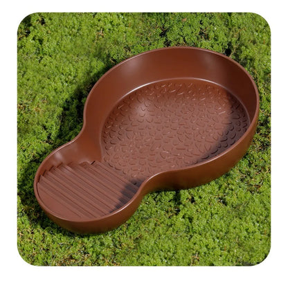 Pond con feeder per tartarughe d'acqua