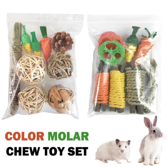 Set per la dentizione piccoli animali