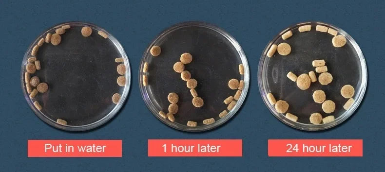 Mangimi vari per mammiferi, rettili, anfibi, pesci - a scelta