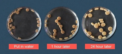 Mangimi vari per mammiferi, rettili, anfibi, pesci - a scelta