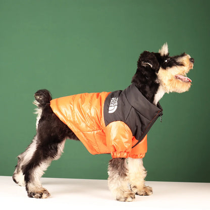 Vestiti invernali per cani di piccola taglia e media