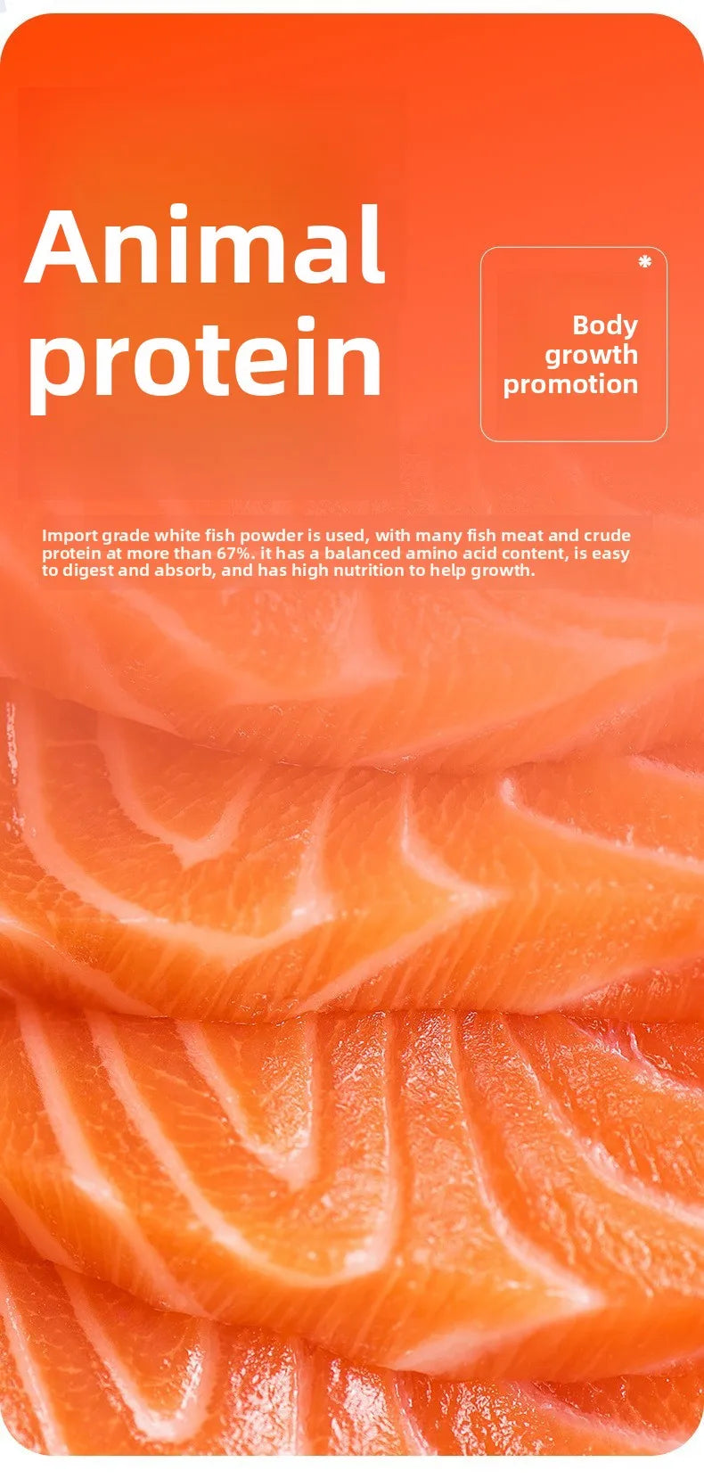 Cibo per Guppy & Nano Fish