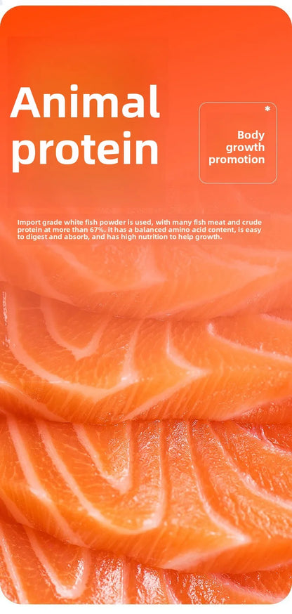 Cibo per Guppy & Nano Fish