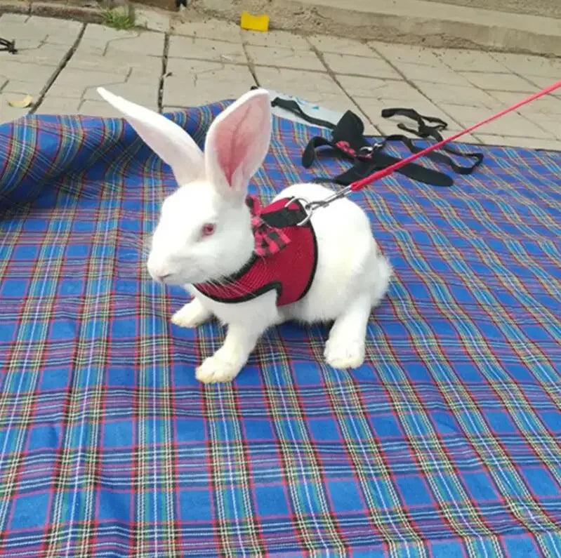 Haustiergeschirre für Kleintierzubehör mit Netzbrustgurt S/M/L 4 für Kaninchen, Hamster, Frettchen, Meerschweinchen