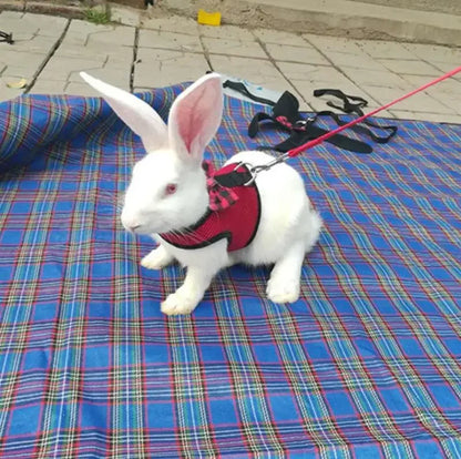 Haustiergeschirre für Kleintierzubehör mit Netzbrustgurt S/M/L 4 für Kaninchen, Hamster, Frettchen, Meerschweinchen