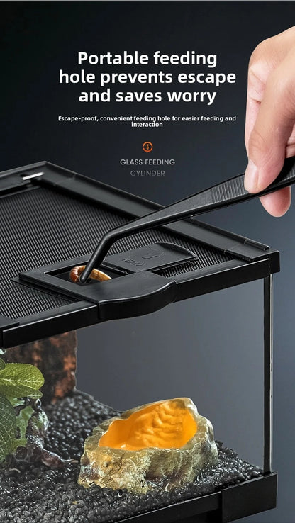 Professionelles Glas-Terrarium für Reptilien, geeignet für Chamäleons, Echsen und Schlangen, ideal für Hornfrösche und Wasserschildkröten, mit transparenter Belüftung.
