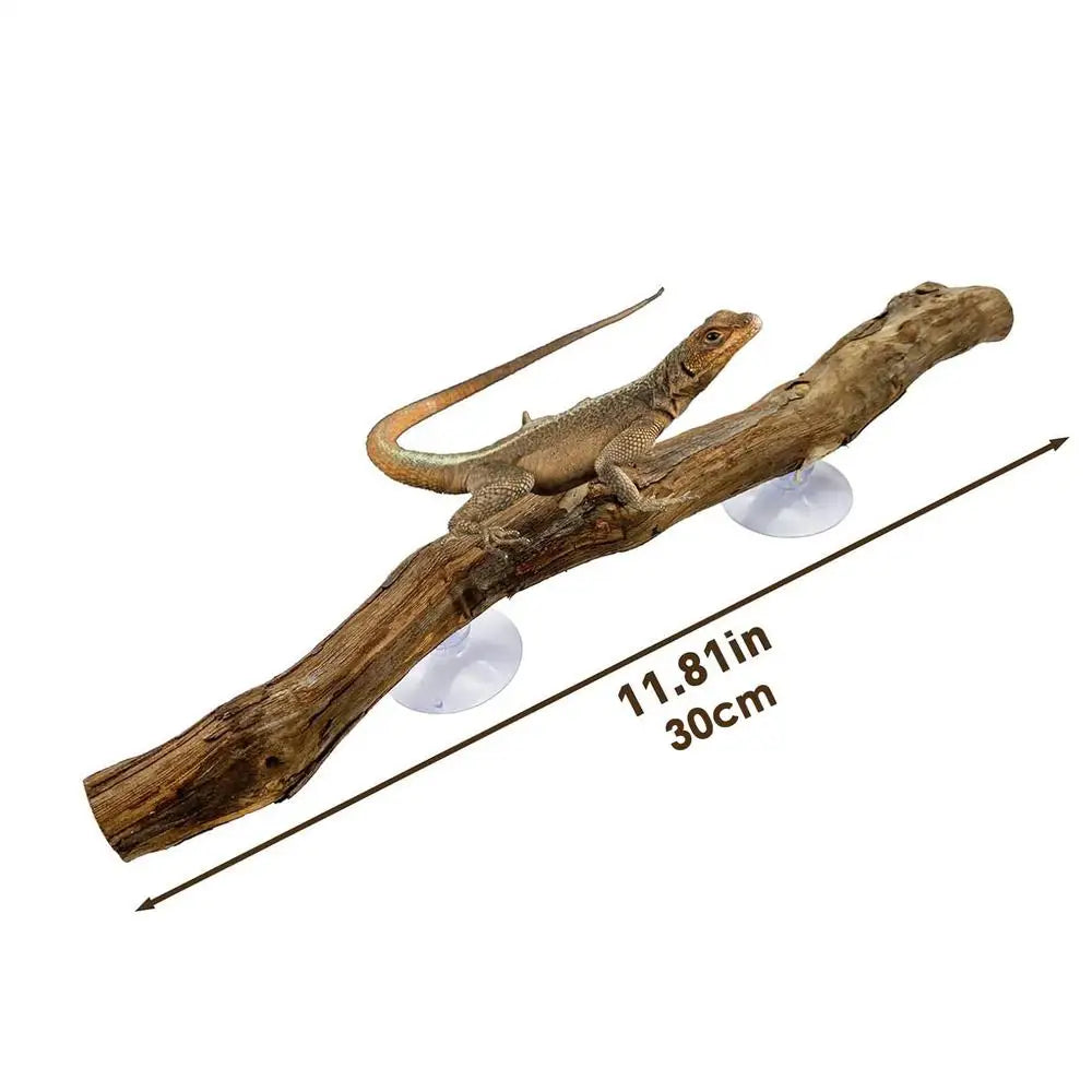 Ramo d'Albero in Legno per Rettili, Decorazione Antiscivolo per Terrario, Ornamento per Habitat