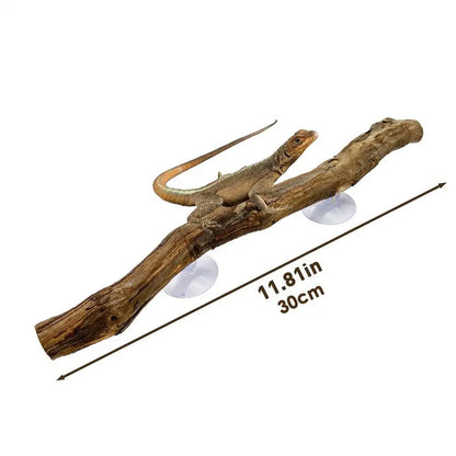 Ramo d'Albero in Legno per Rettili, Decorazione Antiscivolo per Terrario, Ornamento per Habitat