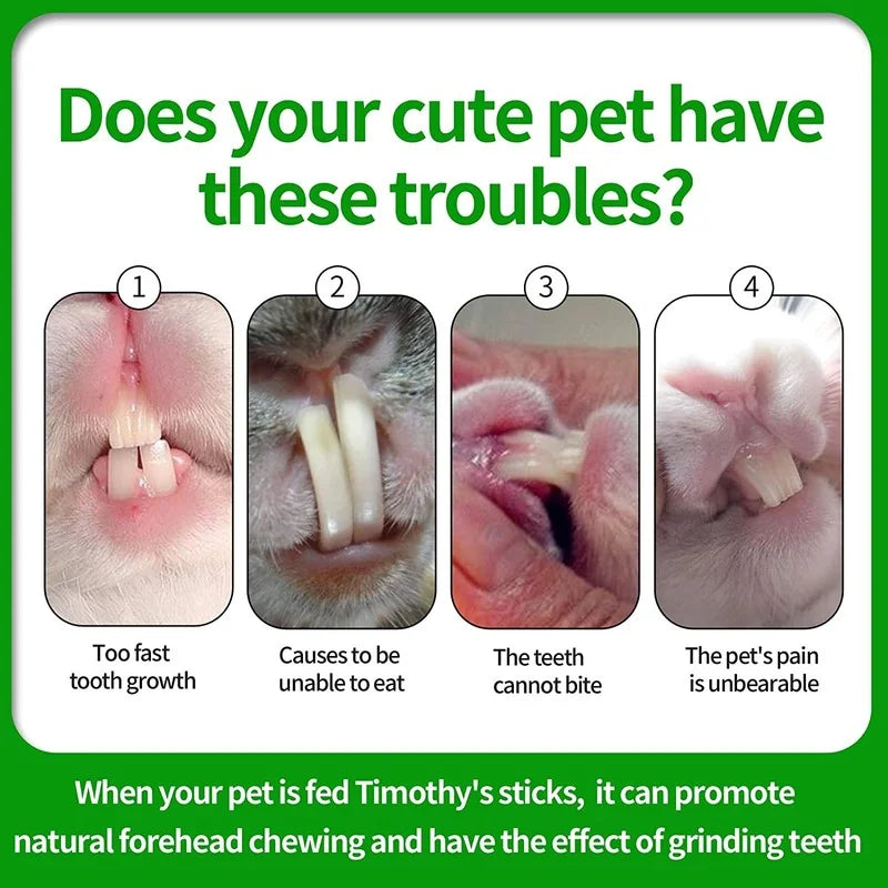 Bastoncini da masticare per piccoli animali