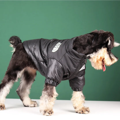 Vestiti invernali per cani di piccola taglia e media