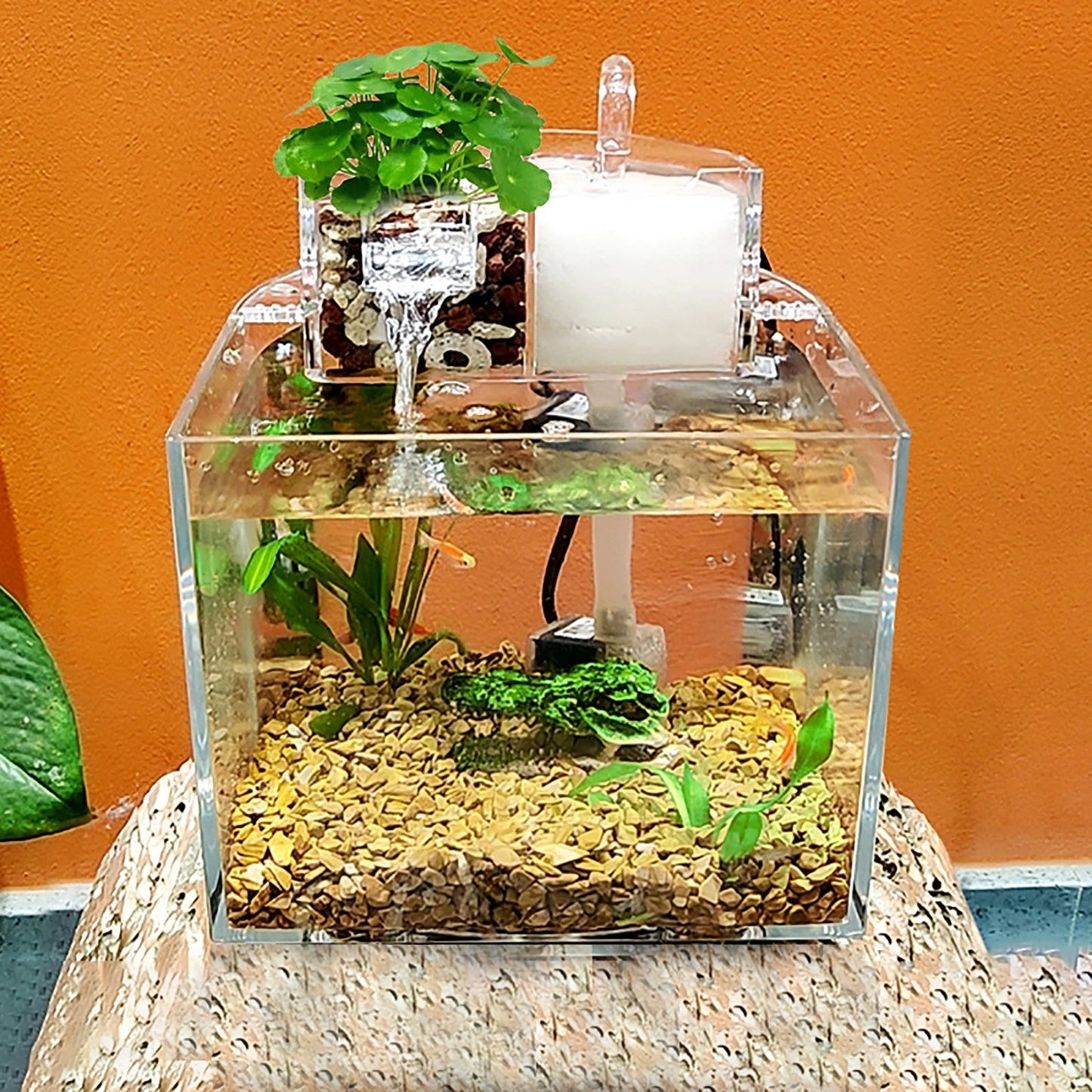 Mini-Tisch-Aquarienset mit Filterdeckel, Wasserpumpe 2,5 W, Tauchpumpe, umweltfreundliches transparentes Aquarium, Heimdekoration