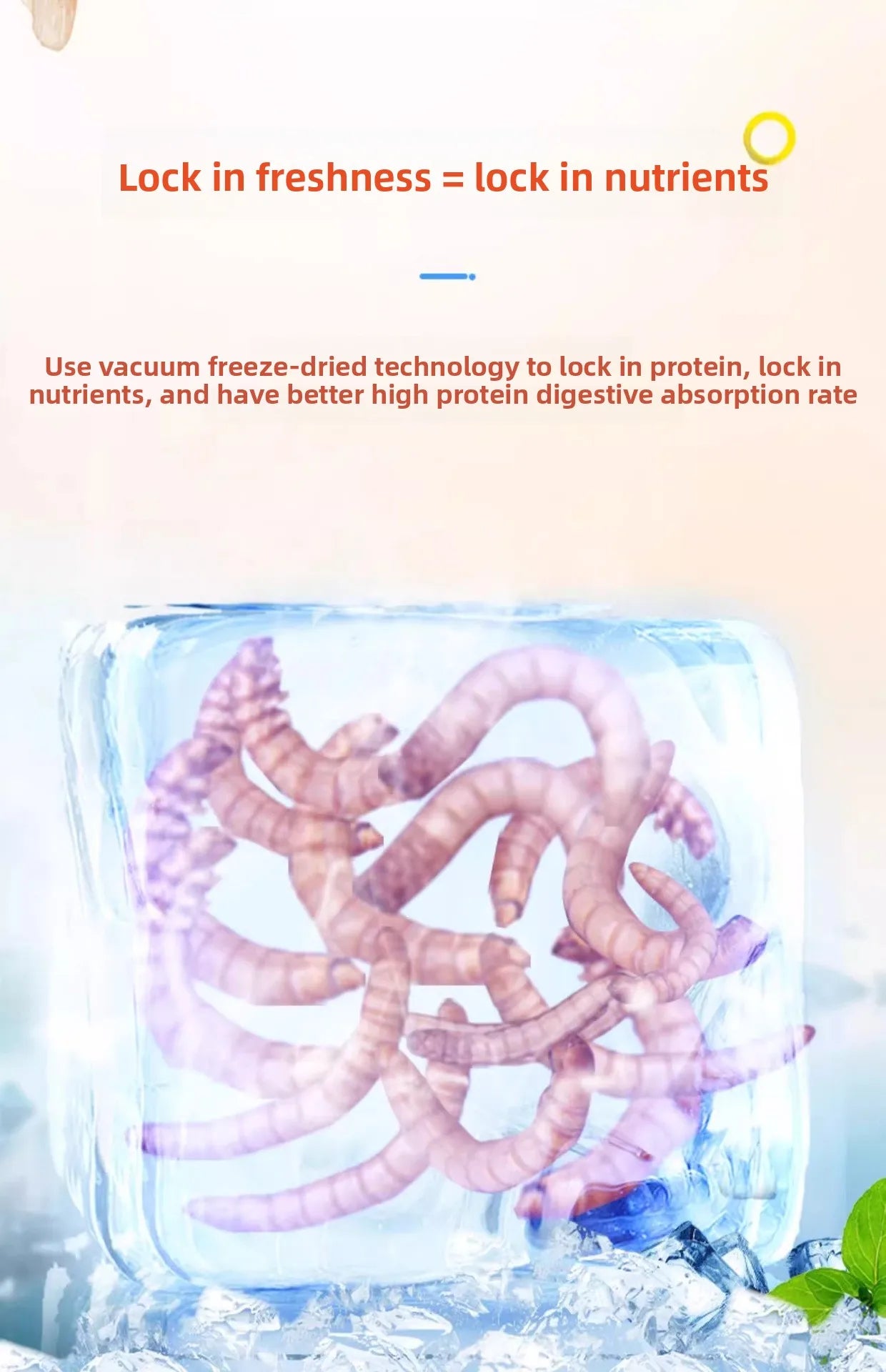 BESSN Premium - Arowana&Cichlid Fish Food