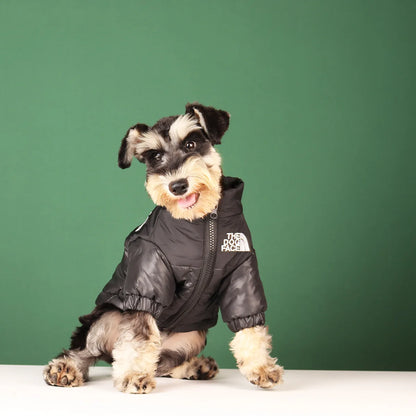 Vestiti invernali per cani di piccola taglia e media