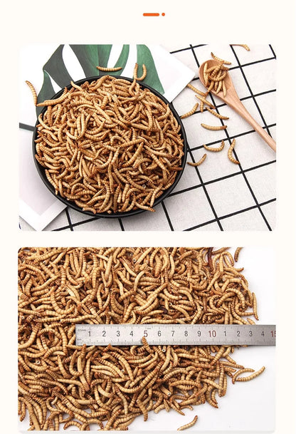 BESSN Premium - Arowana&Cichlid Fish Food