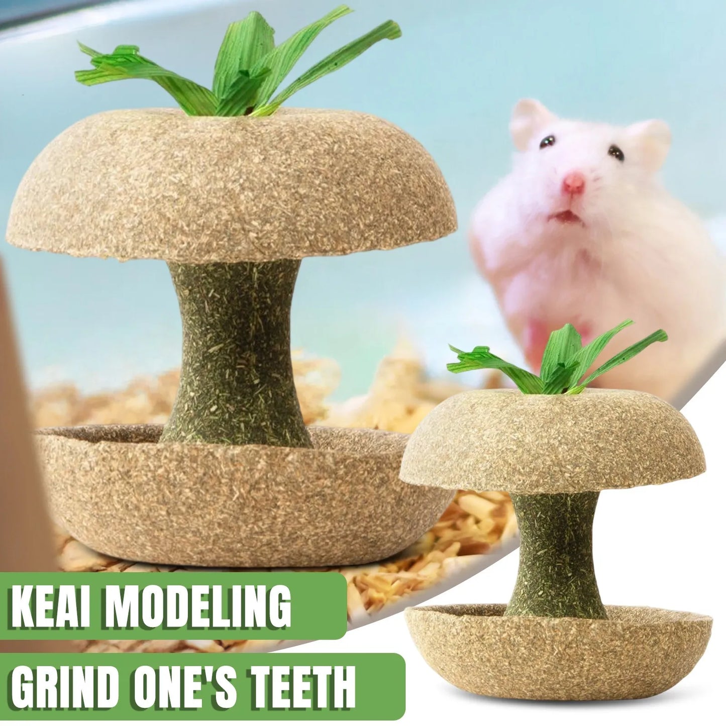 Biscotto per criceti