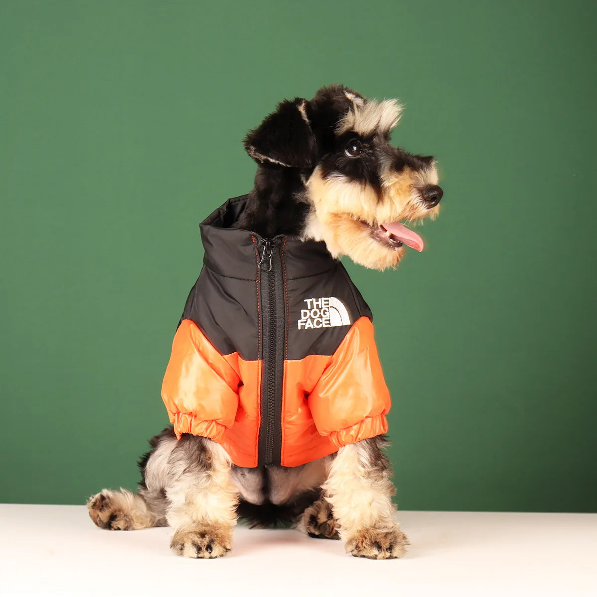 Vestiti invernali per cani di piccola taglia e media