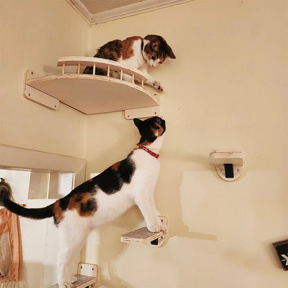 3/4 pezzi amaca angolare gatti