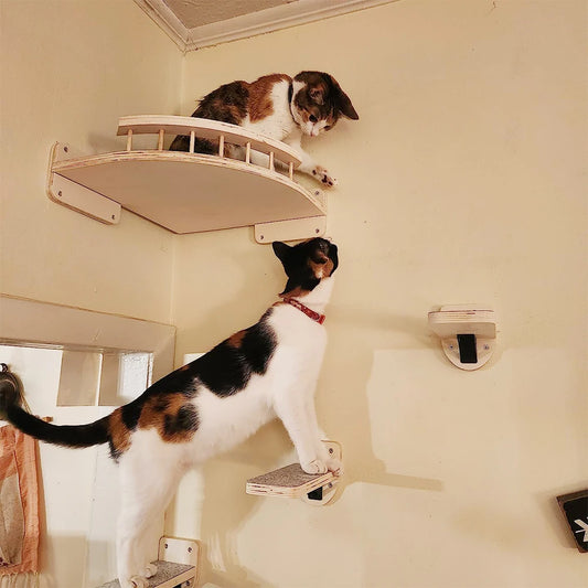 3/4 pezzi amaca angolare gatti