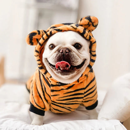 Costumi animalier in pile