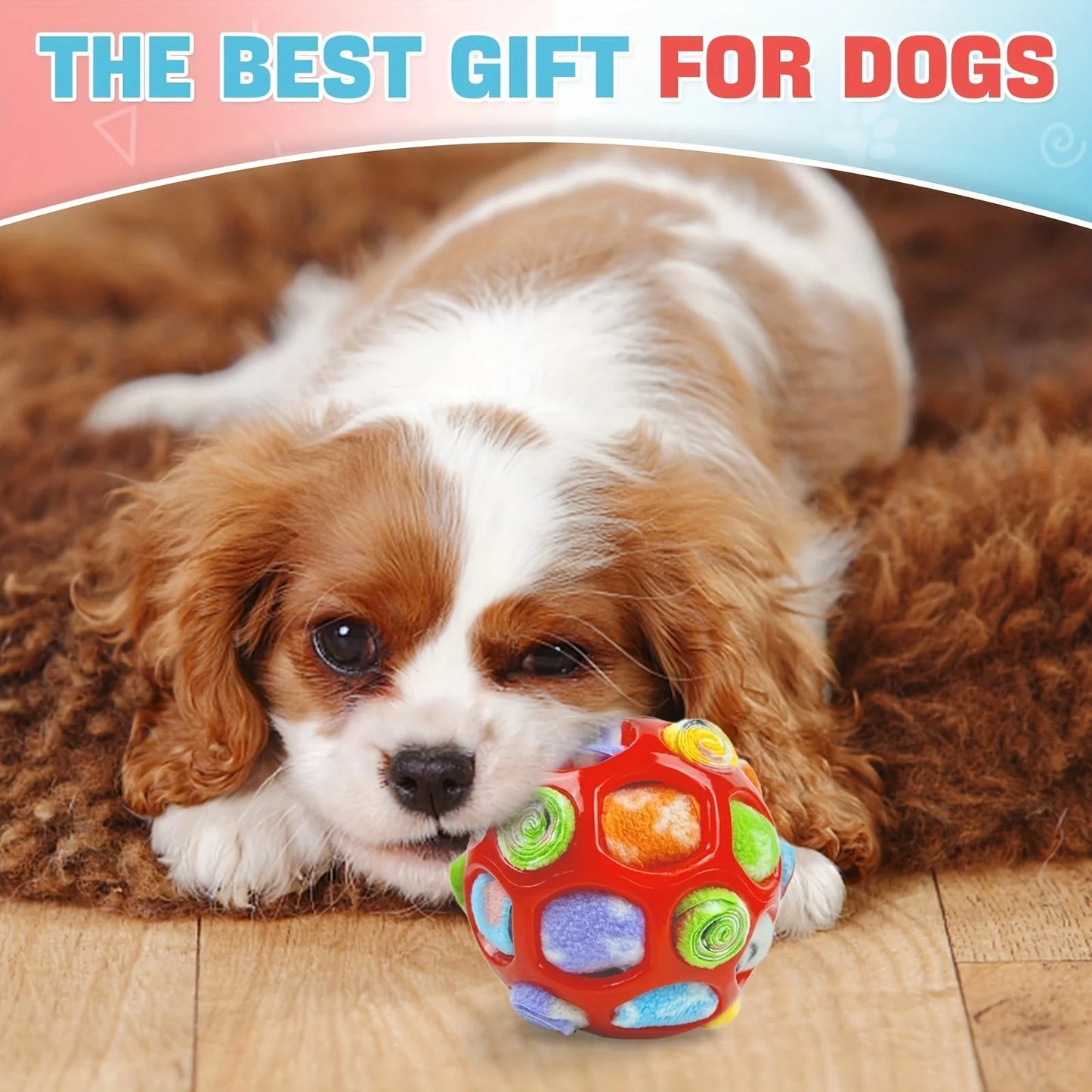 ⭐NEUHEIT⭐ Sniffing Ball für Hunde