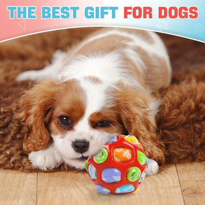 ⭐NEUHEIT⭐ Sniffing Ball für Hunde