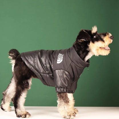 Vestiti invernali per cani di piccola taglia e media