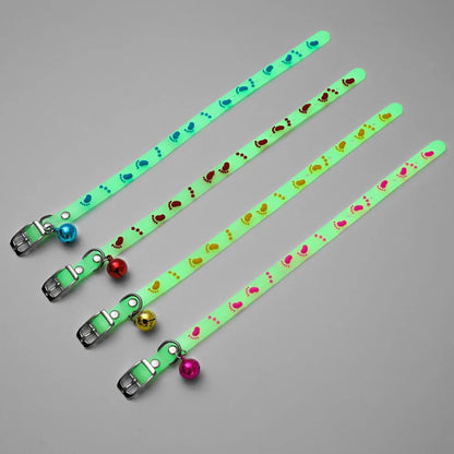 Collari luminosi per animali domestici
