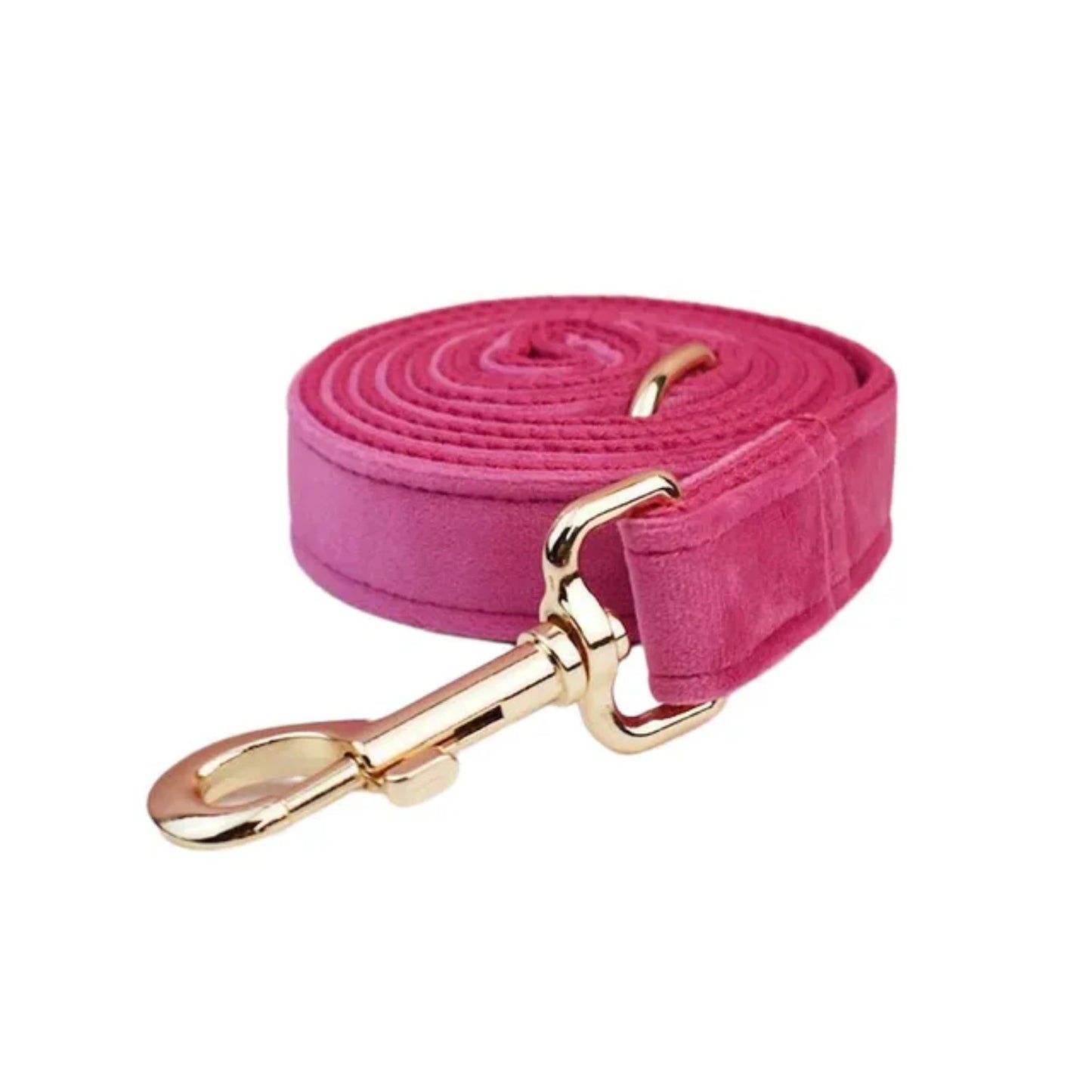 Halsband- und Leinen-Set für Hunde