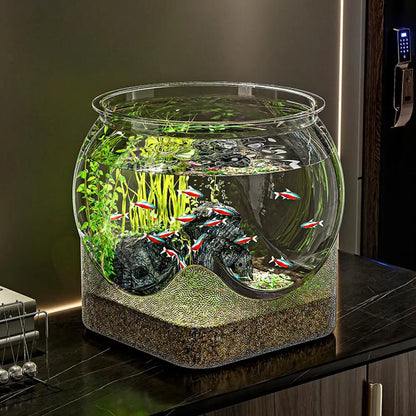 Ultra-transparente runde Fischschale, abnehmbares Desktop-Fischtank aus Kunststoff, 360-Grad-Sicht, kleiner Desktop-Aquarium, Tischdekoration