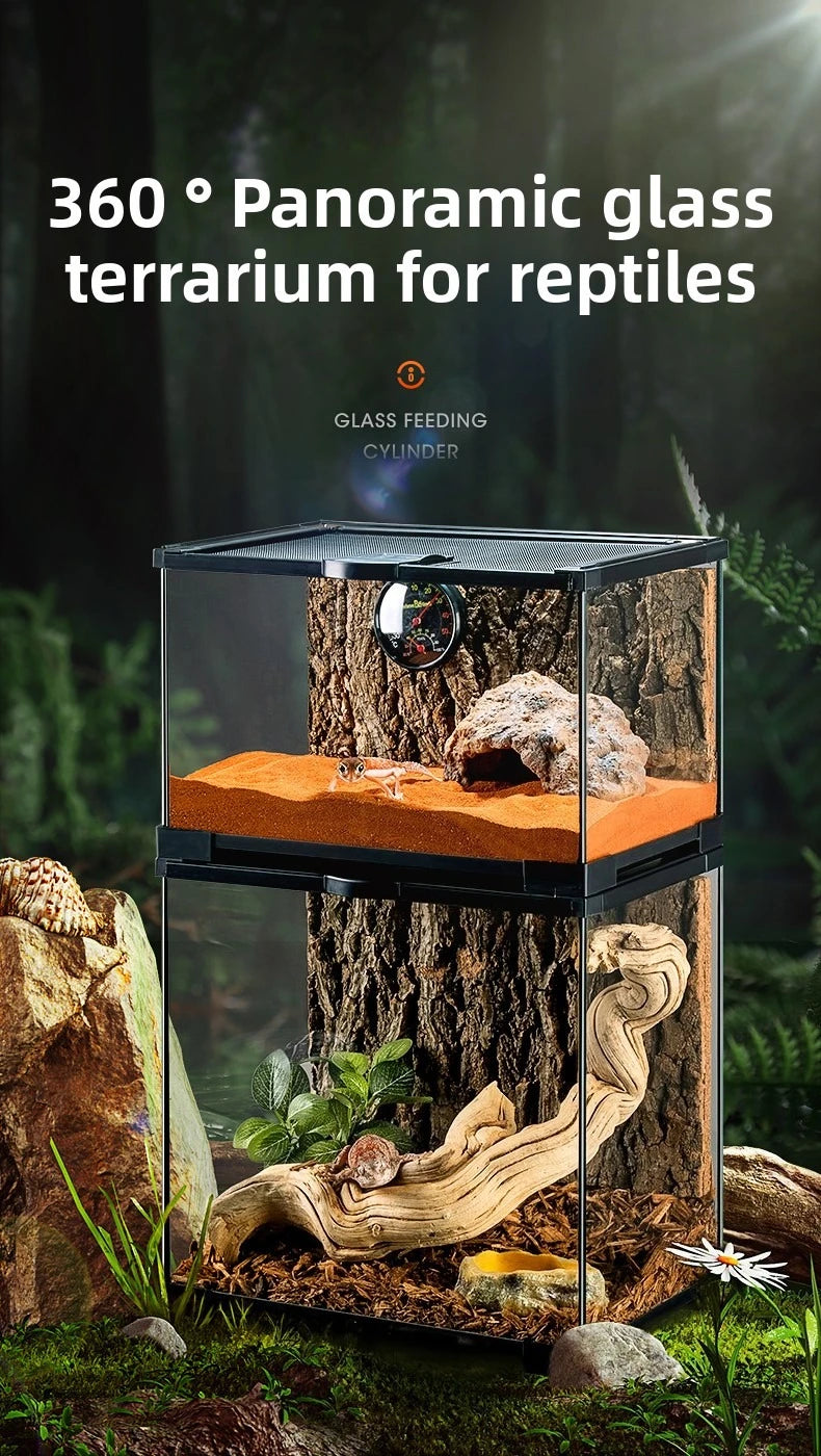 Professionelles Glas-Terrarium für Reptilien, geeignet für Chamäleons, Echsen und Schlangen, ideal für Hornfrösche und Wasserschildkröten, mit transparenter Belüftung.